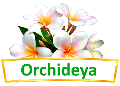 Студія флористики та декору Орхідея